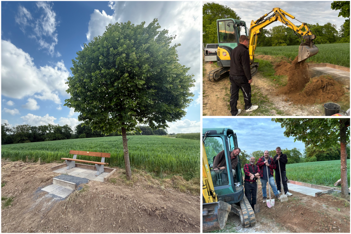 HKV_Bank_neu_1 HKV_Bank_neu_1